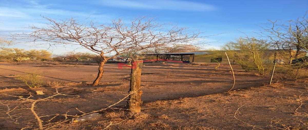 Foto de terreno habitacional en venta en  , hacienda los tesoros [fraccionamiento], hermosillo, sonora, 31444157 No. 05